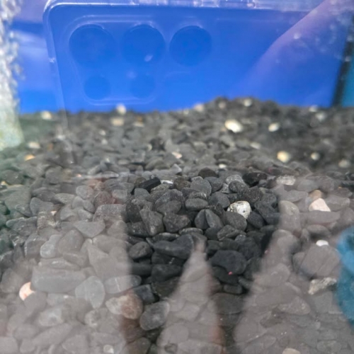 541046539_1824331451846460_1886545417947773811_n